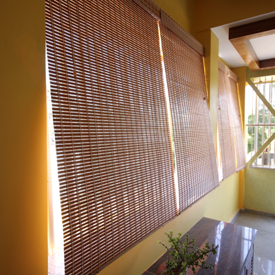 PVC Blinds