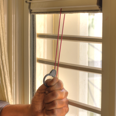 Roller Window Screens