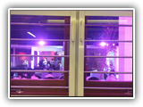Plated Mesh Door