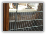 Plated Mesh Door